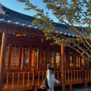 스테이-션 | 늦여름 경주 여행 경쥬르스테이 숙소추천 찐로컬맛집 🍂