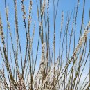 황산 | 양산 황산공원 후기 | 낙동강 뷰 산책·피크닉·캠핑 힐링 공원