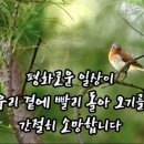 동방유통 이미지