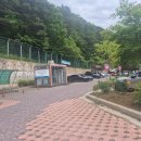 감악산 출렁다리와 평화강변 수목원 캠핑장