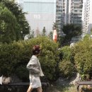 포멜카멜레 카멜레 루나 바이커 부츠 후기