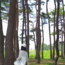 순포습지 | 7월 강릉 가볼만한 곳 40대 커플 데이트 추천 숨겨진 명소 순포습지