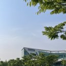 [일상] 퐁당퐁당 경희대학교 요트 수업 후기🛥️