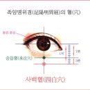 【족양명위경(足陽明胃經)】 〔 ST2 사백(四白) / Sabeak), 족양명위경-ST2〕 "모든 방향에서 눈을 밝게" 이미지