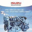 마린(Marine) 이미지