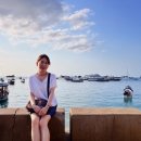 뽀끼타운 이미지