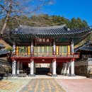 삼척엘림캠핑장 이미지