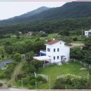 강아지 보호센터 이미지