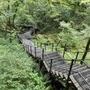 서부탑주유소 이미지