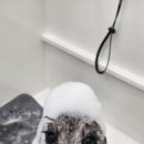 살롱드 오픈주 이미지