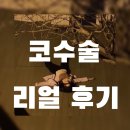 코아린 | 매부리+기능코 수술 리얼 후기 1탄 (1-7일차)