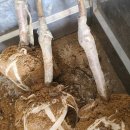 재식농장 이미지