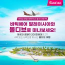 인더캐리어 | 몰디브 항공편