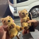 운정건강공원 건너편 횡단보도 | [시드니] 배고프고 또 배고픈 시드니 여행 (2)