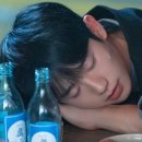 귀여워 강아지 Daum카페