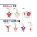 우리짐 청담점 이미지
