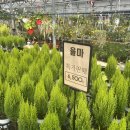 예삐마트 이미지