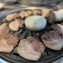 갈매기뒷고기 이미지
