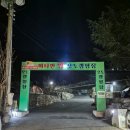 경남캠핑장 밀양 캠핑장. &#34;비타민팜오토캠핑장&#34; 봄캠핑 후기 !