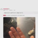 손데렐라 이미지