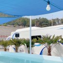 오늘여기 이미지