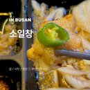 동아대 부민캠퍼스2 02058 | 깡통시장 맛집 소일창 부민점 상세 후기!