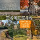 해도근린공원 내 장애인파크골프장 | [포항]🔴해도 도시숲🔴형산강 포스코 강변 문화 예술...황톳길 맨발걷기 파크골프 산책 운동하기 좋은 곳