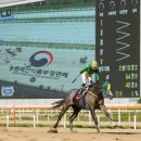 우승축산 이미지