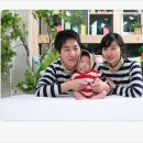 세윤 Daum카페