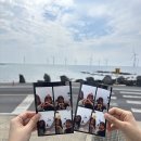 동귀주유소 네이버블로그