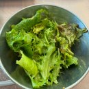 진주 정촌 강주연못 맛집 오리고기 연주네닭오리전문점