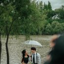 [웨딩 스냅 후기] 한강공원 포토존 및 꿀팁 with. 서록작가