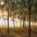 가구쟁이 정무영 이미지