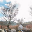 캠퍼스 | [공지] (캠핑) 밀리터리 캠핑 ? “포천 메이드캠퍼스“ 다녀온 후기! / feat. 식폭행, 랜덤비빔밥