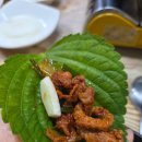 건강한 오리농장 이미지