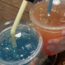 안서올림픽태권도장 이미지