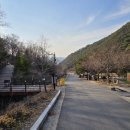 성불산자연휴양림 캠핑장 | 충북 괴산 성불산 자연휴양림 캠핑장(성불산 연계산행)