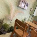 너티체리 | 경기 부천| [카페 돌옷] #부천역 카페 #부천 카페 #부천대 카페