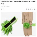 "이게 가방이야?"…660만원짜리 '명품백' 보고 놀란 이유 이미지