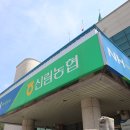 하나로마트(성당) Daum카페