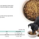 [히동이와 야옹이네] 입짧은 별이의 두번째 후기 - 2탄 소찌찌(잘먹음) + 주머니쥐(안먹음)편