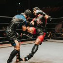 UFC 국제체육관 복싱,무에타이,주짓수,킥복싱,MMA | 종합격투기 MMA의 규칙 / 기술 / 유명 단체는?