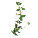 미사숲동물의료센터 이미지