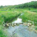 자연과환경 이미지