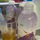 로지오가닉 농장 이미지