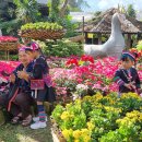 이창농장 이미지