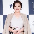 [단독]김해숙, KBS 새 주말극 주인공 "母女 이야기" 이미지