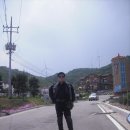 영덕물회 이미지