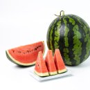 우리행복요양병원 이미지