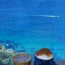 씨유(CU) 강릉초당점 | 강릉 정동진 온천호텔ㅣ탑스텐호텔